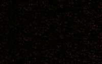 Dekorationskrepp 50 cm x 10 m schwarz