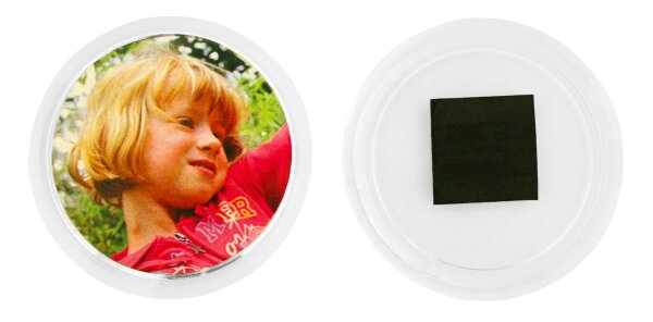 Buttonmagnet 12er Pack