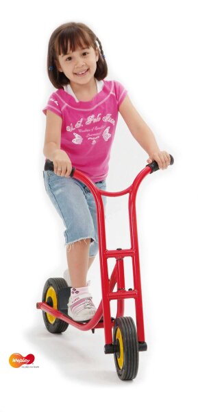 Easy Trike klein