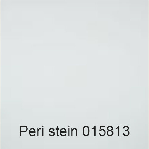 stein 015813