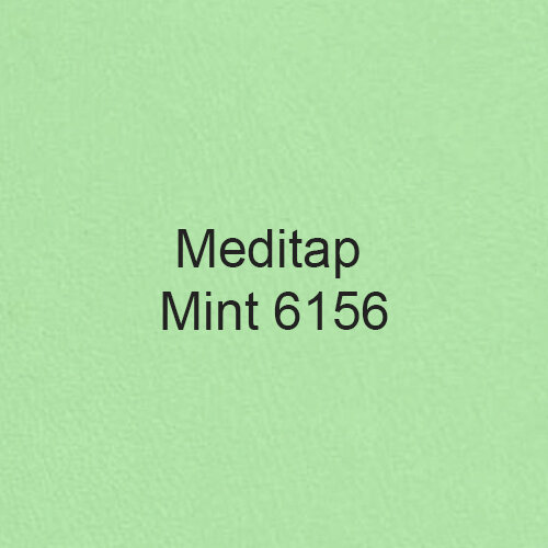 mint 6156