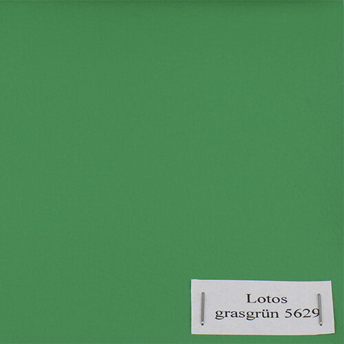 grasgrün 5629